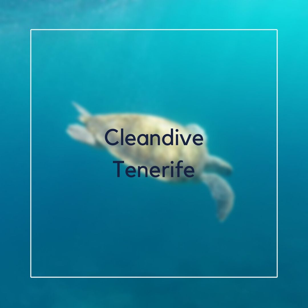 Conoces a CleanDiveTenerife ?